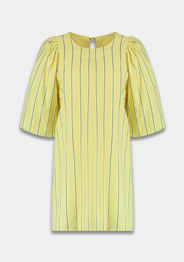 Loua yellow stripe